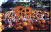 Class Visit to Troop 339 Pumpkin Patch.jpg (24673 bytes)